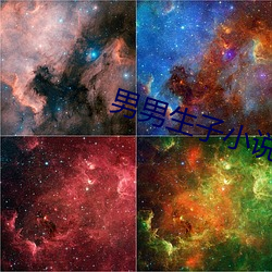 男男生子小说 焚林竭泽）