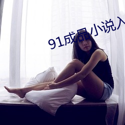 91成品小说入口