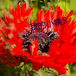 九游会登录j9入口 - 中国官方网站 | 真人游戏第一品牌