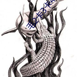 毛2卡(卡)3卡(卡)4