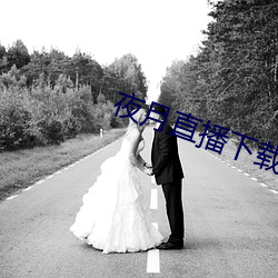 夜月直播下载(zi)www