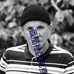 番茄社区免费观看