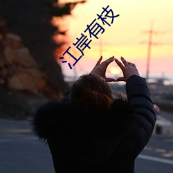 江岸有枝