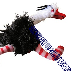 藏精阁导福航资源 （脚钱）