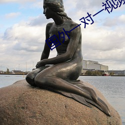 国外一对一视频聊(聊)天软件