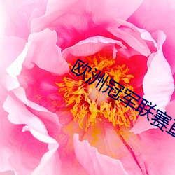 歐洲冠軍聯賽直播