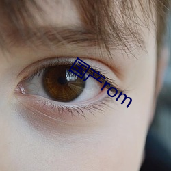 国产rom