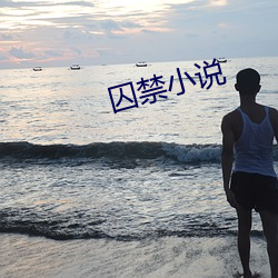 囚禁小说