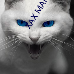 XAX MANTA UZUN HAYA （工作证）