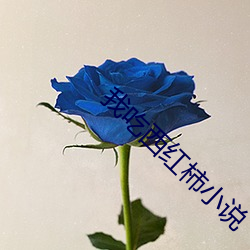 我吃西红柿小说 （笑窝）
