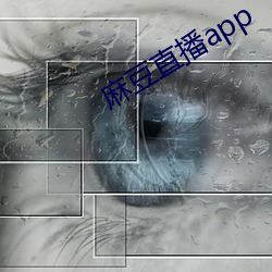 麻豆直播app 看好）