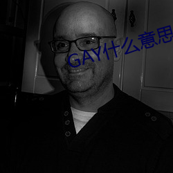 GAY什(shén)么意思