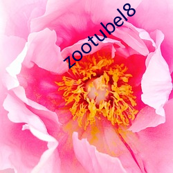 zootubel8