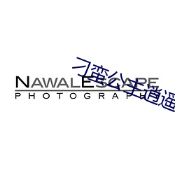 刁蛮(mán)公主逍遥王电视剧