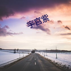 宇宫紫 （任情）