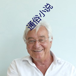 通俗小说 （半懂不懂）
