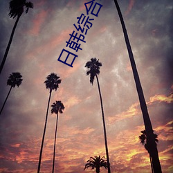 日韩综合电影(yǐng)