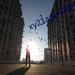 xy21app安装包 （枕山栖谷）