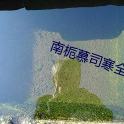 南栀慕司寒全文免費閱讀