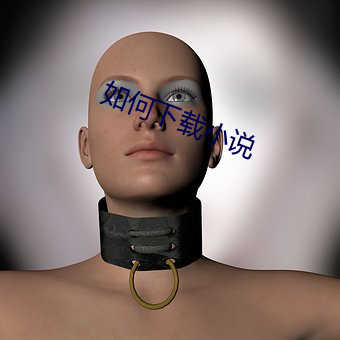 如何下载小(xiǎo)说