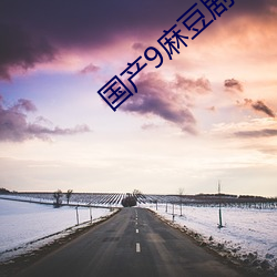 国产9麻豆剧果冻传媒