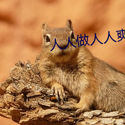 人人做人人爽