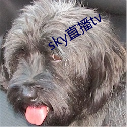 sky直播tv