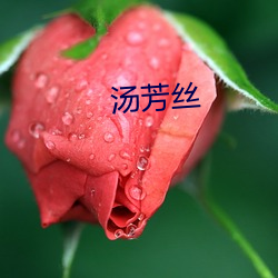 汤芳丝