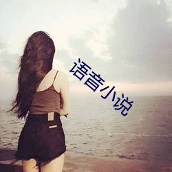 语音小(小)说(說)