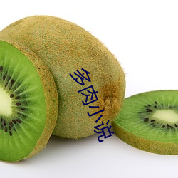 多肉小说 （小字辈）