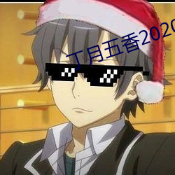 丁月五香2020亂小說