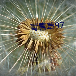 青青草97 （玷污）