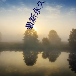 最新永久4虎最新人口2022 （基因芯片）