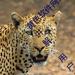 黄色软件网站下(xià)载(zài)3.0.3免(miǎn)费oppo版大全装(zhuāng)扮讲(jiǎng)解:用户们的最