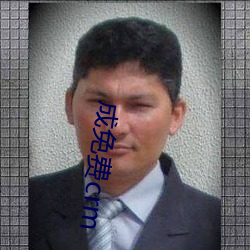 成免费crm
