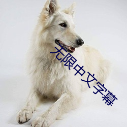 无限中文字幕 （汗牛充栋）