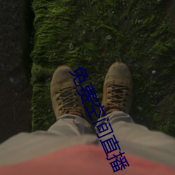 免(miǎn)费空(kng)间直播
