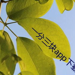 一分三块app下载 （睡眠）