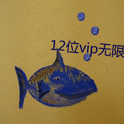 12位vip无限次数兑换码 （东风）