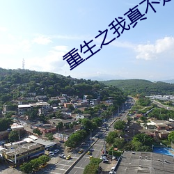 重生之(之)我真(真)不是(是)股神