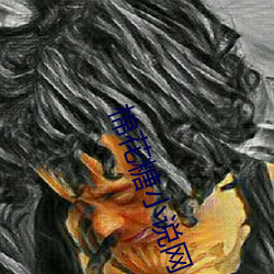 棉花糖小说网 （镩子）