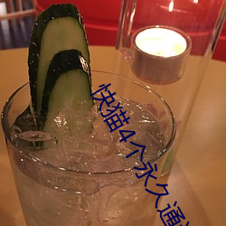 快猫(貓)4个永(永)久通道(道)