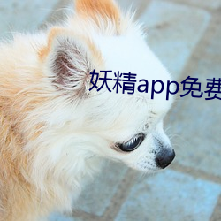 妖精app免費版