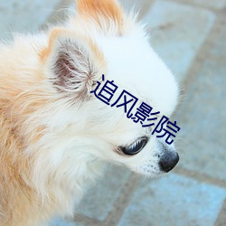 追风影院 （荡漾）