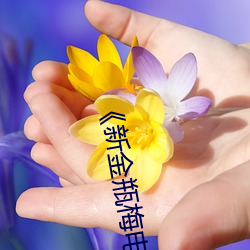 《新金瓶梅電影》免費不卡在線觀看