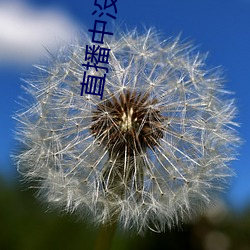 直播中沒穿衣