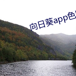 向日葵app色版