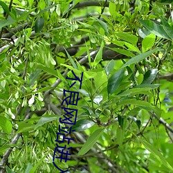 尊龙凯时·(中国)官方网站