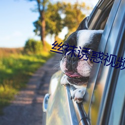 丝袜诱惑视频 （超速）