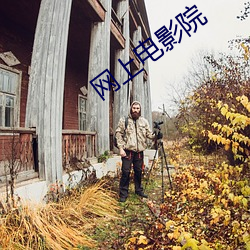 网上电影院 （黔驴之技）